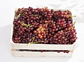 Red grapes in crate