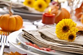 Autumnal Table Setting with Chrysanthemums and Pumpkins