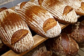 Sourdough bread on a wooden rack in a bakery