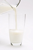 Milch in Glas einschenken