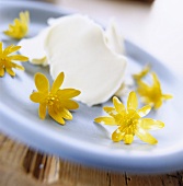 Dessert decorated with yellow flowers