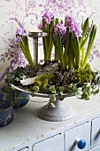 Flower arrangement with hyacinths