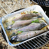 Trout in aluminium dish on barbecue