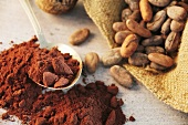 Geröstete Kakaobohnen im Jutesack und Kakaopulver