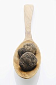 Black truffles (Chinese truffles) on wooden spoon