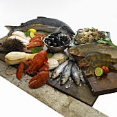 Fish and seafood still life