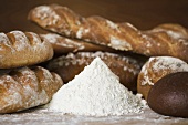 Various types of rustic bread and a heap of flour