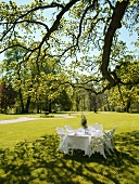 Laid table in parkland of a castle
