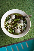 Gemüsesuppe mit Sprossen und Klösschen (Thailand)