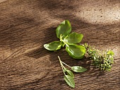 Basil, thyme and sage on wooden background