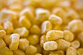 Frozen sweetcorn kernels (close-up)
