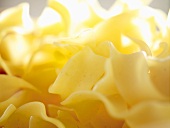 Ribbon pasta (close-up)