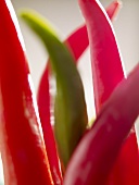 Green and red chillies (close-up)