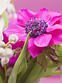 Pink anemone in vase of spring flowers