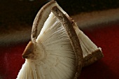 Halved Mushroom Cap