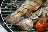 Charr tail fins on a barbecue