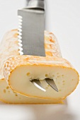 Cow's milk cheese with cheese knife