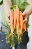 Child holding fresh carrots
