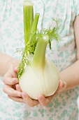 Child holding fennel bulb