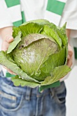 Child holding cabbage