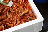Fresh prawns in polystyrene box