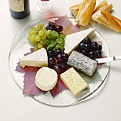 Cheese Platter; Bread and Wine