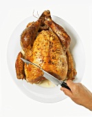 Carving Whole Roast Turkey on Platter