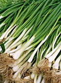 Spring onions on a market stall