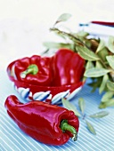 Red peppers and bay leaves
