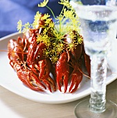 Crayfish with fresh dill