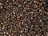 Coffee beans (full-frame)