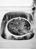 Fresh herbs in kitchen sink