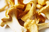 Fresh chanterelles (close-up)