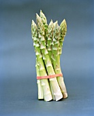 A bundle of green asparagus