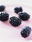 Six blackberries