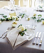 Place-setting on elegant table