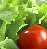 Green salad with cherry tomato