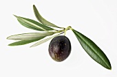 Olive mit Blättern