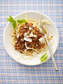 Spaghetti Bolognese mit Parmesan (Draufsicht)