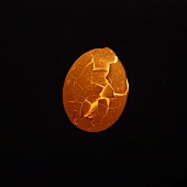 Broken egg (backlit)