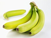 Unripe bananas