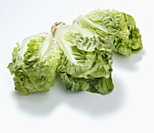 Three lettuce hearts