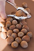 Cracking a hazelnut with a nut cracker