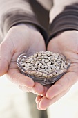 Hands holding glass dish of sunflower seeds