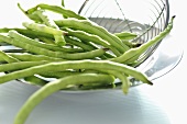 Long Thai beans (yardlong beans)