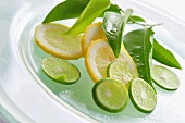 Slices of lemon and lime with leaves
