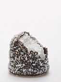 Chocolate teacake covered in grated coconut, a bite taken