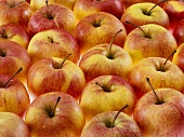 Apples (full-frame)