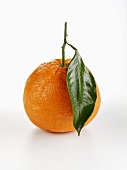 Eine Orange mit Blatt