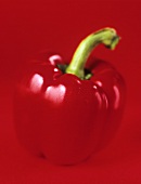 A red pepper against a red background